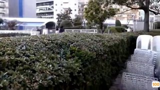 激情免费视频在线观看